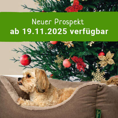 Neuer Prospekt ab 19. November 2025 verfuegbar